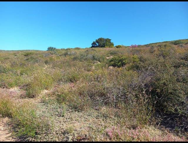 LAND FOR SALE IN SANDY POINT